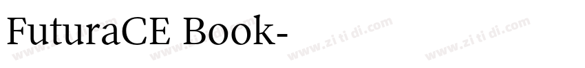 FuturaCE Book字体转换